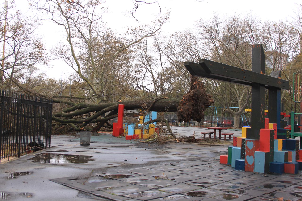 Fallen Trees all over Battery Park after Hurricane Sandy hit the coast